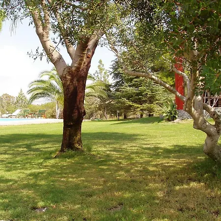 Bed & Breakfast Franca 4*